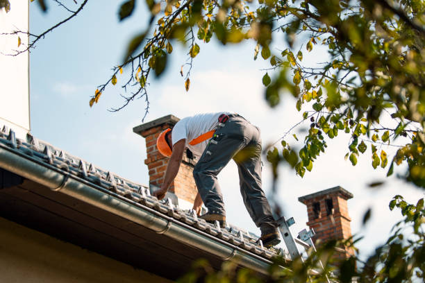 Best Sheet Metal Roofing  in Swede Heaven, WA